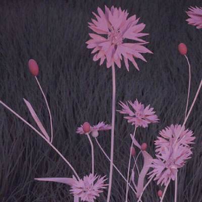 华体会登录(官方)APP下载下载手机版